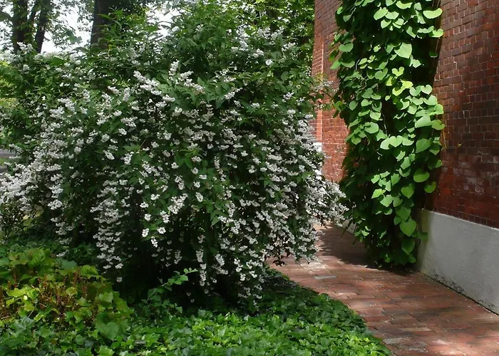 ヴィラ Fortuna Lübben